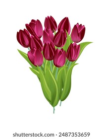 Ramo de tulipanes de flores de primavera de verano aislado sobre fondo blanco. Un lindo regalo con flores para unas vacaciones, una boda o un ser querido. Elemento de diseño para tarjeta de felicitación, invitación, cartel, impresión.