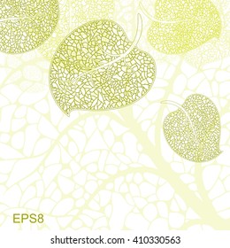 Summer or spring fragile green leaves background vector illustration. 