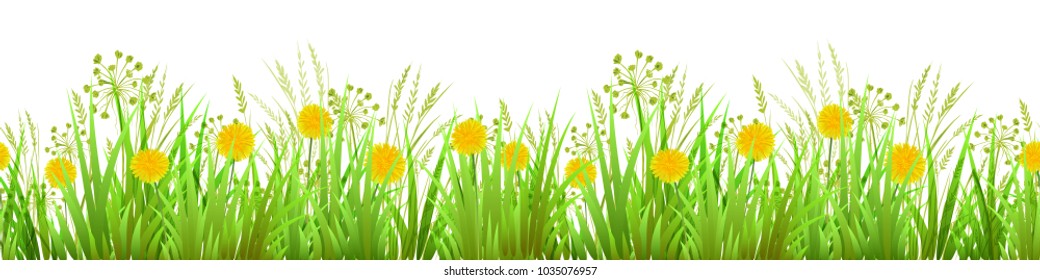 Summer or Spring Green Grass isolated pattern on white background. Long format Seamless Border of Yellow dandelions. Vector illustration