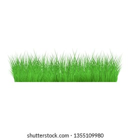 Summer, spring green grass and lawn border on isolated background in realistic style, vector illustration.
