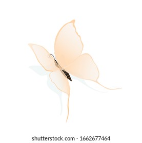 Summer and spring insect butterfly cartoon illustration isolated on white with transparent wings and shadow.Cute little fragile butterfly insect closeup drawing. 
 Macro artistic summer design element