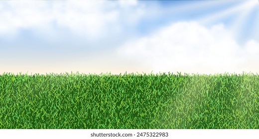 Verano o primavera paisaje de fondo. Prado de hierba verde y cielo de sol azul con nubes. Campo de campo espacio vacío. Naturaleza de fondo publicitario