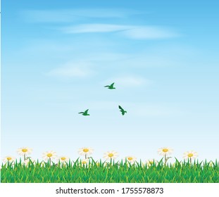 Summer or spring landscape for design banner, ticket, leaflet, card, poster and so on. Green grass, blue sky and flowers scenery