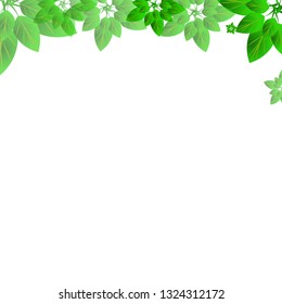 Summer or spring leaves banner vector concept