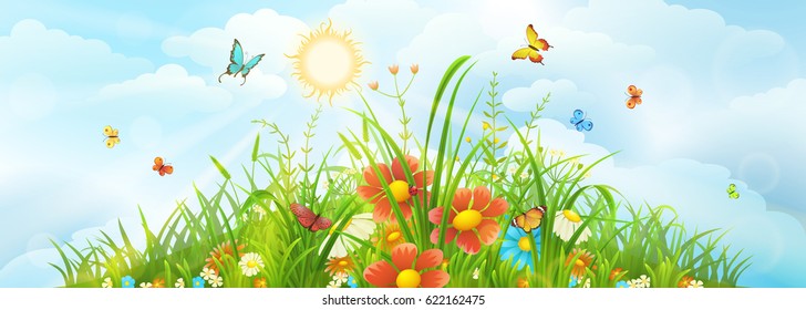 Summer and spring meadow background with green grass, flowers and sky