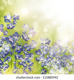 Summer or Spring Meadow With Forget Me Not Flowers