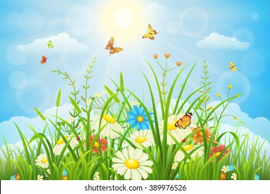 Summer or spring meadow landscape with flowers, grass and butterflies