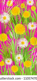 Summer or Spring Wild Green Grass. Long Vertical format Pattern. Yellow dandelions and chamomilies on Bright Pink Background. Vector illustration
