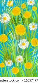 Summer or Spring Wild Green Grass. Long Vertical format Pattern. Yellow dandelions and chamomilies on Bright Blue Background. Vector illustration