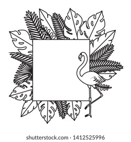 summer square frame with flemish and exotic leafs plants
