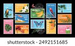 Summer stamps. Tropical beach travel. Postal stickers and seals. Exotic fruits. Palm plant leaves. Vacation in Hawaii. Jungle animals and birds. Sea tourism. Vector postmarks composition