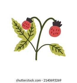 Summer strawberries doodle. Vector art hand drawn naive cute nature clipart
