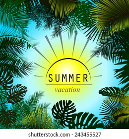 Summer sun and palm trees frame. Vector