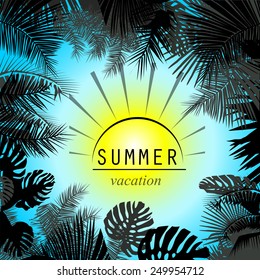 Summer sun and palm trees frame. Vector