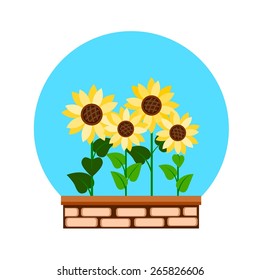 Summer Sunflowers