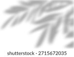 Summer sunlight and shadow overlay effect,shadow for photo interior backdrop studio mockup.eps
