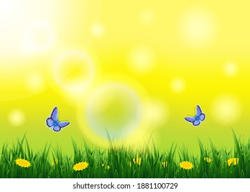 Summer sunny  landscape with butterflies with grass and flowers.Life of insects in the meadow.