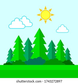 Summer sunny landscape, vector illustration of coniferous Forest