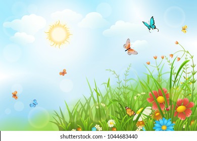 Summer sunny meadow with green grass, flowers and butterflies