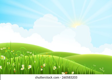 Summer Sunny Meadow Landscape, Vector Illustration