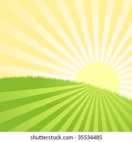 Summer sunrise landscape with grass - vector illustration