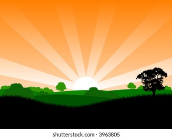 Summer sunrise landscape with trees and grass vector illustration