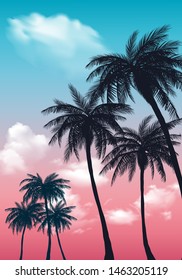 Summer sunset palm trees. Beatiful tropical, exotic wit clouds in sky.Vector illustration. EPS 10 