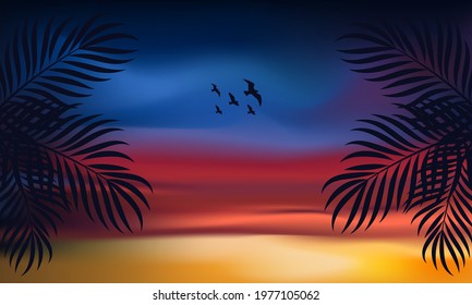 Summer sunset sky. Nature landscape background, panoramic image evening view.