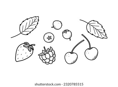 Summer sweet berries doodle icons. Vector illustration sketch raspberry strawberry blueberry cherry and mint leaves.