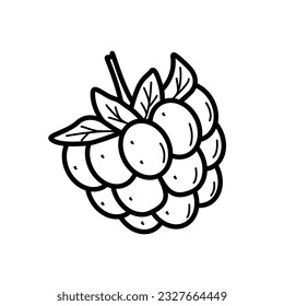 Summer sweet berry raspberry doodle icon. Vector illustration single sketch isolate on white.