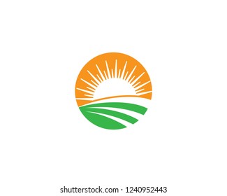 Summer symbol illustration