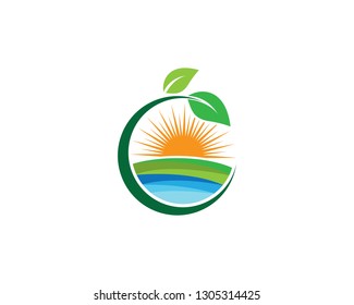 Summer symbol illustration