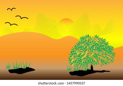 summer template. green trees in summer.