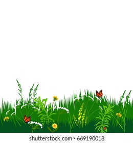 Summer  template with place for text. Vector Illustration.
