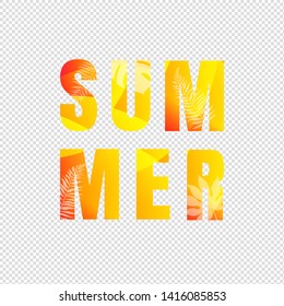 Summer Text Isolated Transparent Background, Vector Illustration