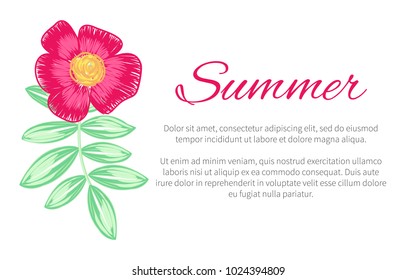 Summer theme colorful poster decorated with plant on white background. Vector illustration with drawn in pink blooming flower and green branch with foliage