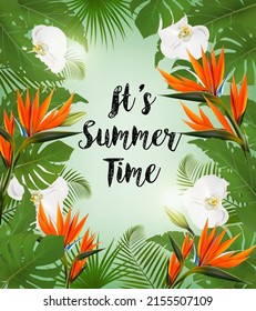 It's Summer Time Background With Exotic Leaves And Coloful Flowers. Vector.