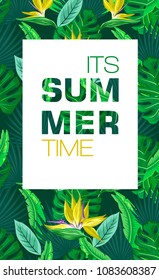 Its Summer Time background with tropical palm leaves, plants.  Summer placard, poster, flyer, banner invitation card.