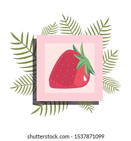 summer time banner branches foliage strawberry vector illustration