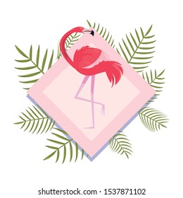 summer time banner branches foliage flamingo vector illustration