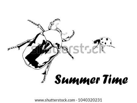 summer time beetle and lady bug