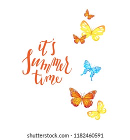 Summer time butterflies