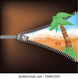 Summer time concept. Palms and starfish, vector illustration