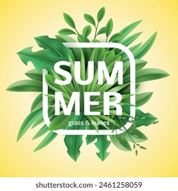 Summer time frame. Realistic spring green grass, lawn plants and herbs, natural meadows isolated elements. Organic flora. Herbal decoration. Square print, post template. Vector seasonal poster