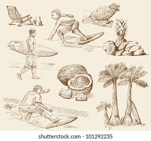 summer time - hand drawn collection
