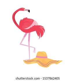 summer time holiday flamingo and hat vector illustration