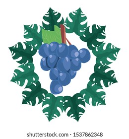 summer time holiday grapes tropical frame vector illustration