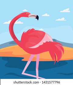 summer time holiday icon vector ilustration