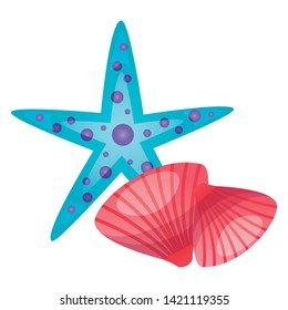 summer time holiday seashell and starfish vector illustration