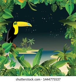 Summer Time Holiday and travel illustration with toucano on night jungle wood background. Tropical floral frame with night sky. Design template